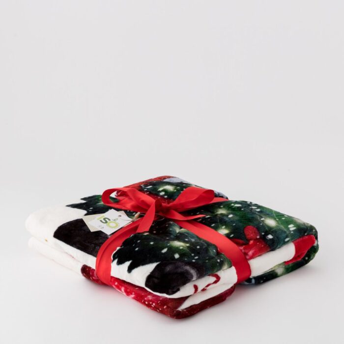 è natale con il SANTA CLAUD PALID è natale con il SANTA CLAUD PALID